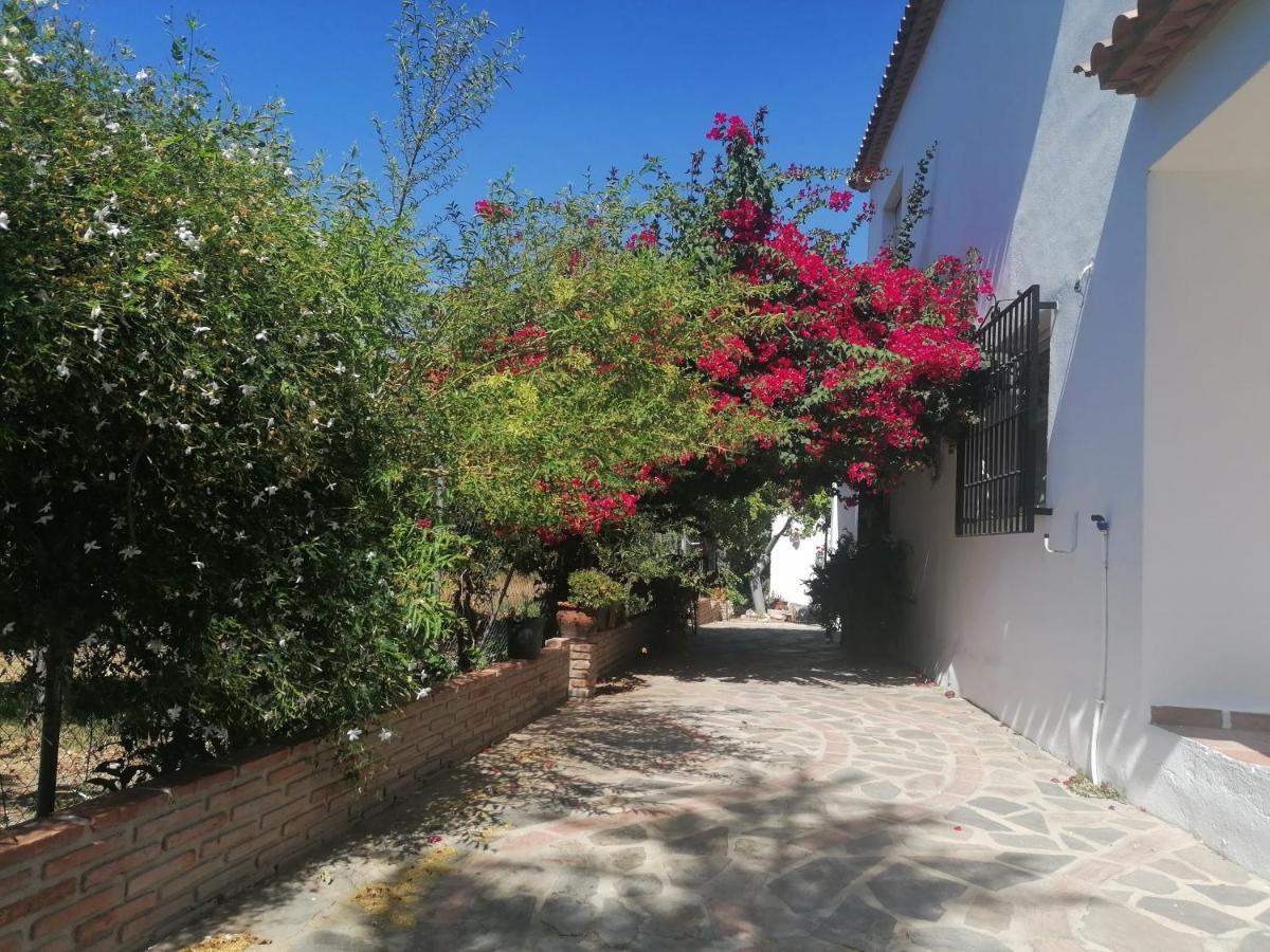Casa Luis Villa Viñuela Eksteriør bilde